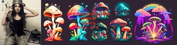 MDMA Premium VHQ Новозыбков