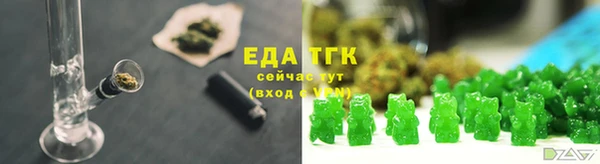 прущие грибы Покачи