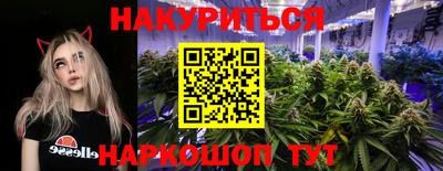 эйфоретик Будённовск