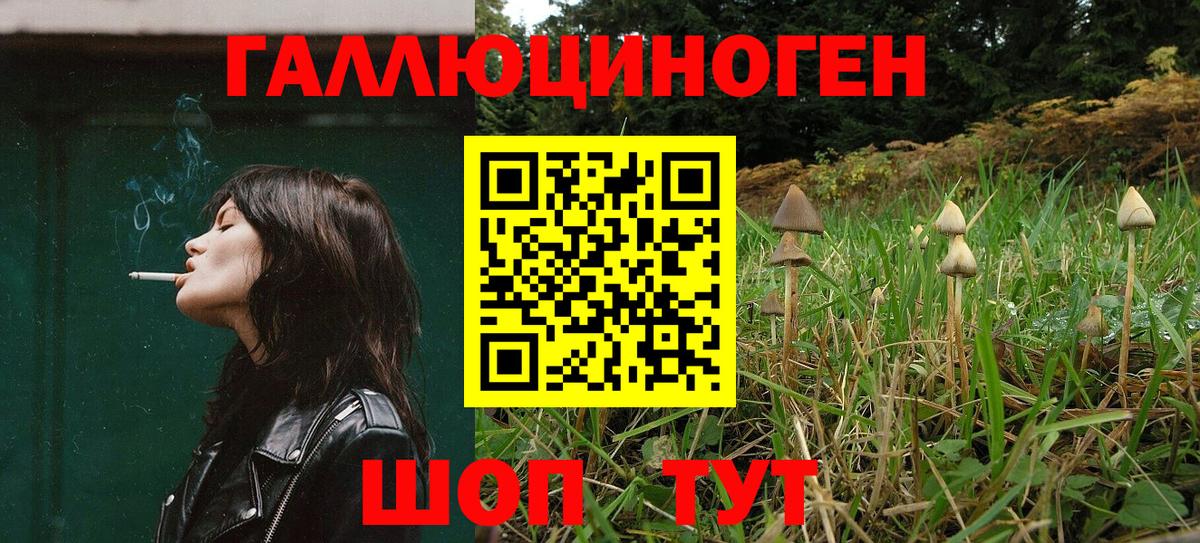 Галлюциногенные грибы ЛСД  Псилоцибиновые грибы Magic Shrooms  сколько стоит  Челябинск  Вход с VPN 